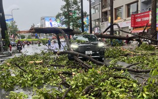 TPHCM: Cây gãy rơi đè ô tô, nhà tốc mái, rạp cưới bị thổi bay trong mưa giông 