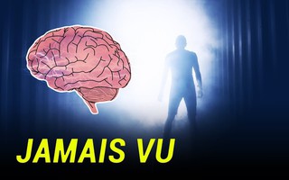 Hiện tượng đối nghịch với Déjà vu: Jamais vu là gì? Tại sao chúng ta phải cảnh giác với nó?