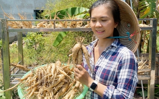 "Để thành công, cần xác định rõ mục đích khởi nghiệp của mình"