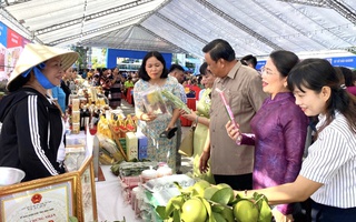 Bình Định: Hỗ trợ hội viên, phụ nữ khởi nghiệp, phát triển kinh tế 