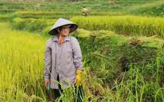 Người phụ nữ Tày tạo sinh kế cho phụ nữ yếu thế giữa đại ngàn 