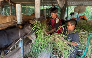 100 học sinh hoàn cảnh khó khăn, nỗ lực học tập cùng tham gia trại hè