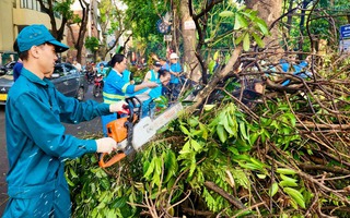 Công nhân vệ sinh môi trường Hà Nội: Cây đổ nhiều quá, tăng ca suốt tuần vẫn không dọn xuể