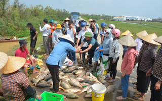 Bắc Ninh: 32 dự án của phụ nữ khởi nghiệp bị ảnh hưởng bởi bão lụt