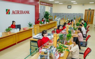 Agribank tích cực triển khai các giải pháp cho vay phát triển nhà ở xã hội