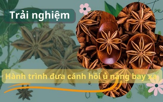 Trải nghiệm: Hành trình đưa cánh hoa hồi ủ nắng "bay xa" của phụ nữ thôn Nà Pái