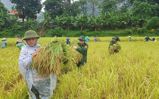 Thanh Hóa: Hàng trăm hộ dân ở xã biên giới bị cô lập, mất điện hoàn toàn do mưa lũ