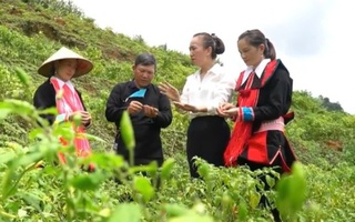 Mường Khương, Lào Cai: Hội LHPN thúc đẩy phát triển nghề làm tương ớt truyền thống 