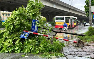 Không cắt điện toàn thành phố Hà Nội vì bão số 3