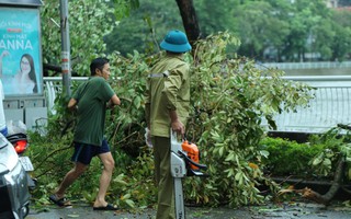 Hà Nội: Người dân trợ giúp lực lượng chức năng khắc phục hậu quả của bão số 3