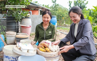 Phụ nữ Hưng Yên: Vận dụng khoa học xử lý rác hữu cơ, bảo vệ môi trường nông thôn