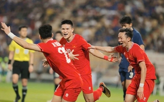 Đánh bại Thái Lan, Đội tuyển bóng đá Việt Nam vô địch ASEAN Cup