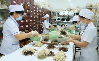 Thất nghiệp ở tuổi 40, khởi nghiệp với Y học cổ truyền