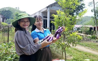 Giúp chị em "giảm nghèo thông tin" thực chất hơn