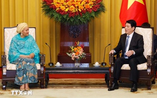 Chủ tịch nước đề nghị Liên hợp quốc hỗ trợ Việt Nam trên một số lĩnh vực ưu tiên