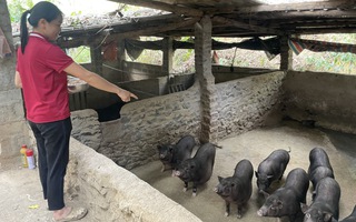 Bắc Kạn: Phụ nữ An Thắng góp sức giảm nghèo