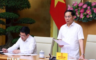 Phó Thủ tướng Bùi Thanh Sơn: Xử lý kịp thời các đối tượng buôn lậu, gian lận