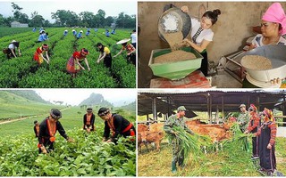 Hoàn thiện hồ sơ dự thảo điều chỉnh CTMTQG phát triển KT-XH vùng dân tộc thiểu số và miền núi