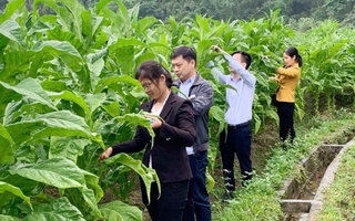 Hà Quảng, Cao Bằng: Tăng cường nguồn lực giảm nghèo thông tin, tạo "lối mở" phát triển bền vững