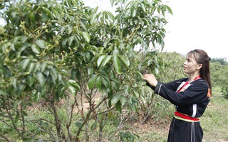 Nhờ được chia sẻ thông tin, kiến thức, nhiều phụ nữ vùng cao Bắc Giang đã thoát nghèo