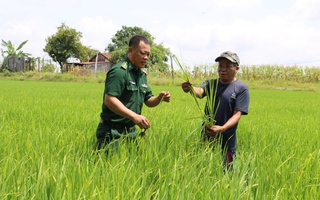 Hỗ trợ sinh kế, hướng dẫn kỹ thuật chăn nuôi giúp người dân thoát nghèo