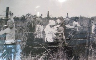 Ôn lại truyền thống phụ nữ Cần Thơ trong các phong trào đấu tranh chống Mỹ cứu nước