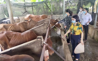 Yên Bái: Nỗ lực thực hiện công tác giảm nghèo bền vững