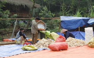 Giải pháp bảo đảm sinh kế cho người lao động sau thiên tai