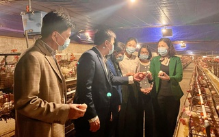 Hội LHPN tỉnh Hưng Yên giám sát việc thực hiện Luật An toàn thực phẩm