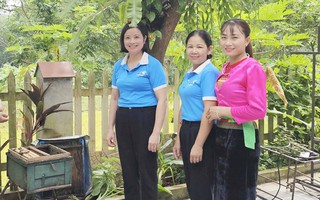 Tảo hôn và hôn nhân cận huyết thống: Gánh nặng âm thầm đối với cộng đồng dân tộc thiểu số