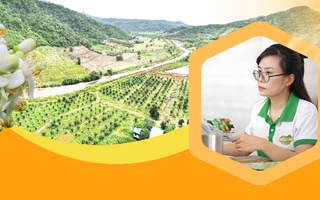 "Thất bại dạy tôi rằng đam mê thôi chưa đủ"