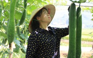 Bỏ lỡ giấc mơ nghề giáo để trở thành "bà chủ bí xanh"