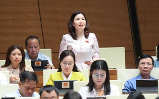 Đại biểu Quốc hội chỉ ra "kẽ hở" để doanh nghiệp gian dối trong vụ 600 nhãn sữa giả