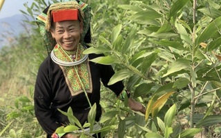 "Tiếp sức" cho hành trình thoát nghèo ở Lạng Sơn