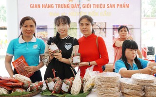 Tây Ninh: Hỗ trợ 289 phụ nữ khuyết tật khởi sự kinh doanh, khởi nghiệp