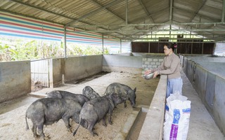 Tín dụng vi mô - Chìa khóa mở cửa sinh kế cho phụ nữ nghèo và đồng bào dân tộc thiểu số