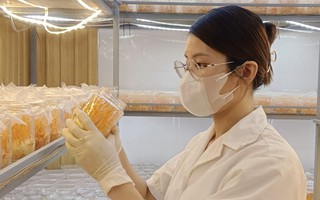 Thành công nhờ đa dạng hóa sản phẩm nước uống đông trùng hạ thảo