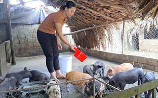 Văn Bàn, Lao Cai: Giảm nghèo là nhiệm vụ trọng tâm