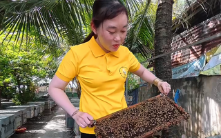 Hậu Giang: Phụ nữ Khmer phát triển kinh tế với nghề nuôi ong lấy mật