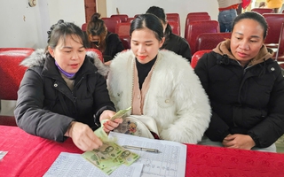 Hội LHPN Nghệ An: Mô hình sinh kế thiết thực giúp phụ nữ dân tộc thiểu số thay đổi cuộc sống