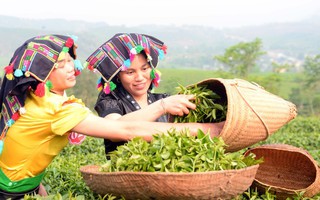Thúc đẩy liên kết vùng, thu hẹp khoảng cách giữa các địa phương