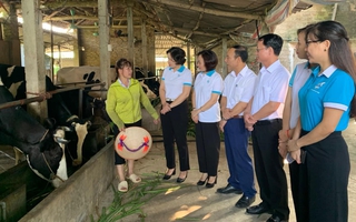 Kinh nghiệm "về đích" sớm trong thực hiện mục tiêu giảm nghèo của Hà Nội
