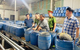 Lào Cai: Triệt phá 2 cơ sở dùng hóa chất độc hại làm giá đỗ