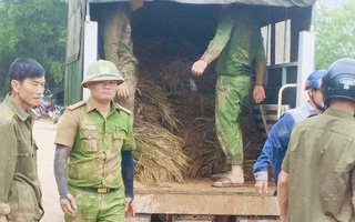 Xúc động hình ảnh chiến sĩ Công an lấm lem bùn đất giúp người dân thu hoạch lúa sau lũ