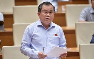 Đại biểu Quốc hội đề xuất tăng mức phạt với tội sản xuất, buôn bán hàng giả, vi phạm an toàn thực phẩm