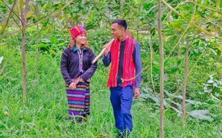 Bản làng đổi thay từ những mô hình khởi nghiệp của người trẻ