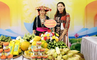 Đoan Hùng: Duy trì hiệu quả 22 nhóm phụ nữ liên kết phát triển kinh tế tại 14 xã