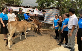 Hòa Bình: Những "điểm sáng" trong Chương trình "Đồng hành cùng phụ nữ biên cương"