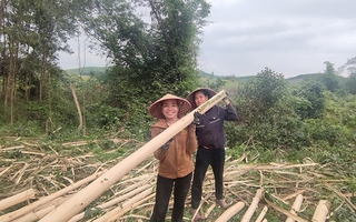Cần thêm nhà máy để phụ nữ miền núi có nhiều việc làm