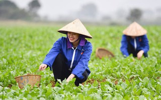 7 điểm mới của Tổng điều tra nông thôn, nông nghiệp 2025